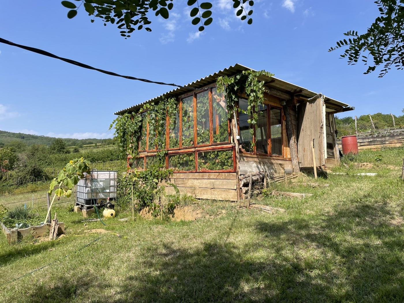 Üvegház
